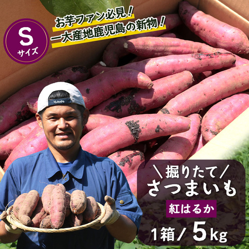 [先行予約:2026年9月中旬配送〜]掘りたて さつまいも 紅はるか 5kg Sサイズ (おすそ分け袋/自宅で簡単レシピ付き)FR-202 