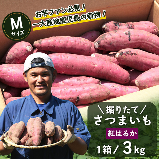 【先行予約：2026年9月中旬配送～】掘りたて さつまいも 紅はるか 3kg Mサイズ (自宅で簡単レシピ付き）FR-203 | 秋の味覚 2026年秋収穫 新物 さつまいも サツマイモ 感動サツマイモ 焼き芋 べにはるか 使いやすい 野菜 おやつ おかず お弁当 煮物 芋ごはん 味噌汁 産地直送 鹿児島県 南大隅町 株式会社フォレスト