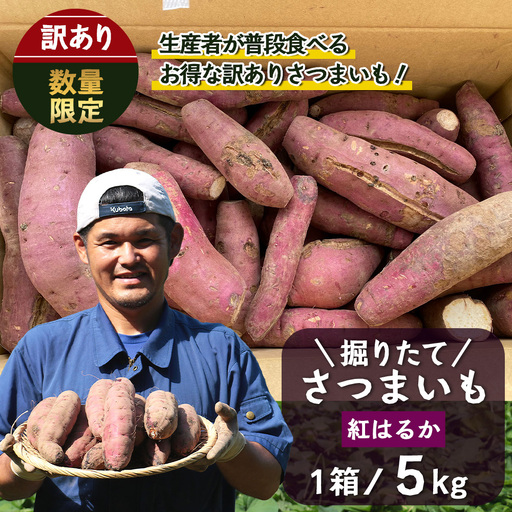[訳あり!][先行予約:9月中旬配送〜]掘りたて さつまいも 紅はるか 5kg (自宅で簡単レシピ付き)FR-207 