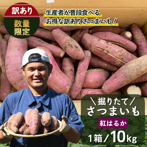 【訳あり！】【期間限定！数量限定！】掘りたて さつまいも 紅はるか 10kg (自宅で簡単レシピ付き）FR-208 | 秋の味覚 2026年秋収穫 サイズランダム 家庭用 新物 さつまいも サツマイモ 感動サツマイモ 焼き芋 べにはるか 野菜 おやつ おかず お弁当 煮物 芋ごはん 味噌汁 産地直送 鹿児島県 南大隅町 株式会社フォレスト