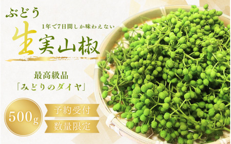 【先行予約】山椒 ぶどう生山椒 500g 2027年5月中旬から5月下旬にお届けいたします【twn044-budo-500A】