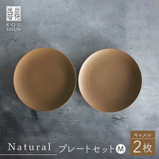 【波佐見焼】Naturalシリーズ プレート M 2枚セット(キャメル）皿 マット【光春窯】[XD94] 波佐見焼
