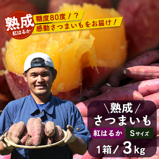 【先行予約：11月下旬配送～】熟成 さつまいも 紅はるか 3kg Sサイズ (美味しい焼き芋の焼き方 説明書付き） FR-211 ｜ 秋の味覚 2026年秋収穫 貯蔵 長期熟成 糖化 さつまいも サツマイモ 感動サツマイモ 焼き芋 べにはるか 小ぶり 野菜 ねっとり 濃厚 おやつ おかず お弁当 煮物 芋ごはん 味噌汁 産地直送 鹿児島県 南大隅町 株式会社フォレスト