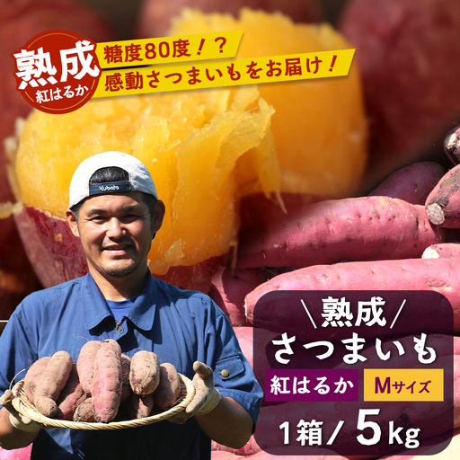 【先行予約：11月下旬配送～】熟成 さつまいも 紅はるか 5kg Mサイズ (おすそ分け袋／美味しい焼き芋の焼き方 説明書付き） FR-214 ｜ 秋の味覚 2026年秋収穫 貯蔵 長期熟成 糖化 さつまいも サツマイモ 感動サツマイモ 焼き芋 べにはるか 使いやすい 野菜 ねっとり 濃厚 おやつ おかず お弁当 煮物 芋ごはん 味噌汁 産地直送 鹿児島県 南大隅町 株式会社フォレスト