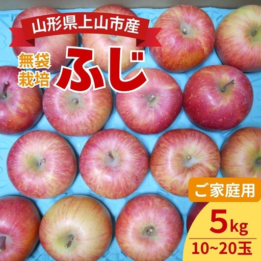 りんご（ふじ）５ｋｇ　ご家庭用　0017-2645