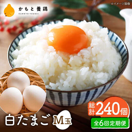 【全6回定期便】【化粧箱入り】白たまご M玉 40個（37個＋3個割れ保証）【株式会社 かもと養鶏】タマゴ 玉子 熊本県 卵 国産 新鮮 しろたまご M玉 濃厚  [ZCA011]
