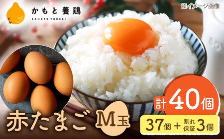 赤たまごM玉卵40個(37個+3個割れ保証)卵