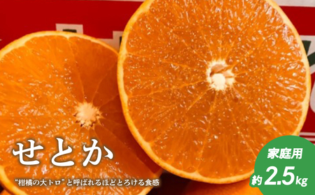 せとか 約 2.5kg 家庭用  みかん かんきつ 【TMN103_x】
