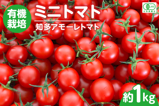 【7月から順次発送】有機栽培ミニトマト　知多アモーレトマト　約1kg