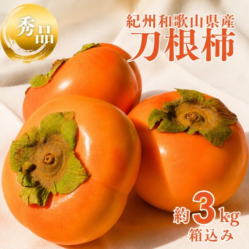 刀根柿 約 3kg※箱込み 秀品 / カキ  甘い 種なし 美味しい 秋の味覚 和歌山県 紀美野町 ※2026年9月下旬～10月上旬に順次発送【frt504-r-tone-3】