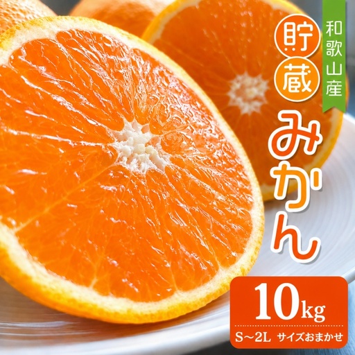 【ふるさと納税】貯蔵みかん 10kg (S～2Lサイズおまかせ) / 蜜柑 果物 オレンジ 紀美野町産 ※2027年1月中旬～2月下旬に順次発送【frt005-r-tyo-10】