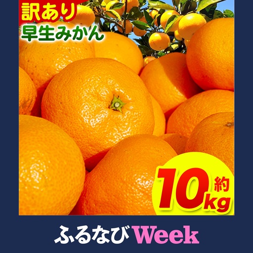 【ふるなびWEEK対象】訳あり早生みかん 10kg みかん