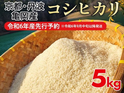 【令和6年産先行予約】【お試し】米 5kg コシヒカリ 佐伯の里の源流米［新米・先行予約・令和6年産米］ ※お一人様１点限り