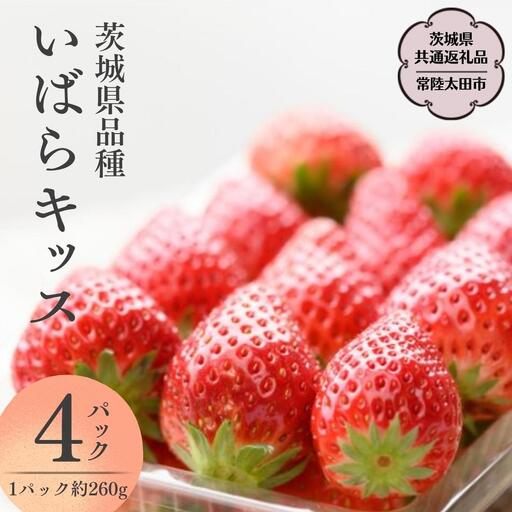 《 2027年 収穫分 》 朝摘み いばらキッス 約260g×4パック (茨城県共通返礼品 常陸太田市) 先行予約 檜山いちご園 国産 朝採り 朝採れ いちご イチゴ 苺 くだもの 果物 フルーツ 冬 春 旬 [DY001sa]
