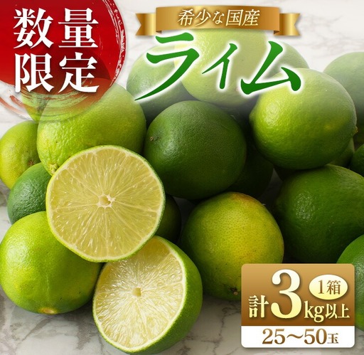 先行予約 皮まで使える ライム 計3kg以上 希少 国産ライム 果物 くだもの フルーツ_AA75-26