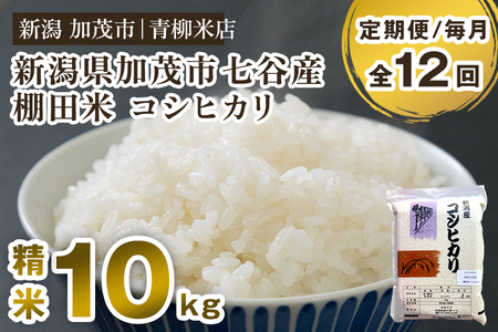 【令和8年産新米先行予約】【定期便12ヶ月毎月お届け】新潟産コシヒカリ 加茂市七谷産 棚田米 精米10kg（5kg×2）《9月下旬～順次出荷》 白米 真空パック 青柳米店