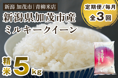 [令和8年産新米先行予約][定期便3回毎月お届け]新潟県央地区 ミルキークイーン 精米5kg [9月下旬〜順次出荷] 白米 青柳米店 定期便 定期購入 定期