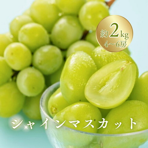 【2026年先行予約】訳あり シャインマスカット 家庭用 約2kg（4~6房）※最低1.8kg以上 | シャインマスカット