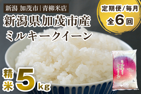 【令和8年産新米先行予約】【定期便6ヶ月毎月お届け】新潟県央地区 ミルキークイーン 精米5kg 《9月下旬～順次出荷》 白米 青柳米店 定期便 定期購入 定期