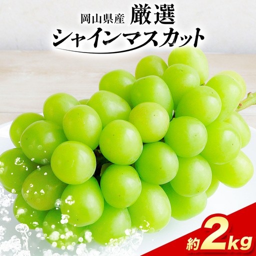 厳選 シャインマスカット 約2kg ぶどう マスカット