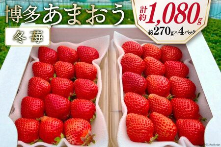 期間限定発送 【 博多あまおう 】 いちご 約270g×4p