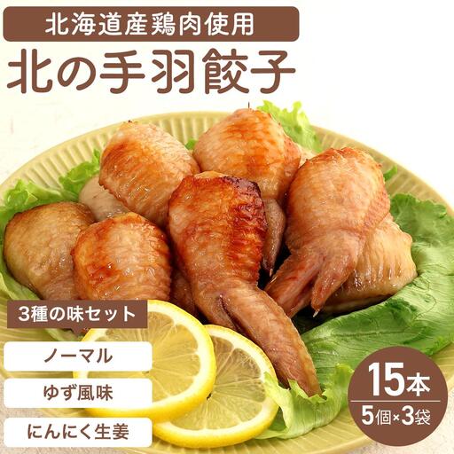 北海道産鶏肉を使った手羽餃子【北の手羽ぎょうざ】15個セット(5個×3袋)≪配送地域限定≫ a136-001【53101】