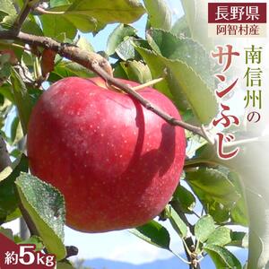 [先行予約][令和8年12月上旬〜順次発送]南信州 阿智村 りんご「サンふじ」約5kg| 果物 フルーツ 林檎 リンゴ 信州 長野