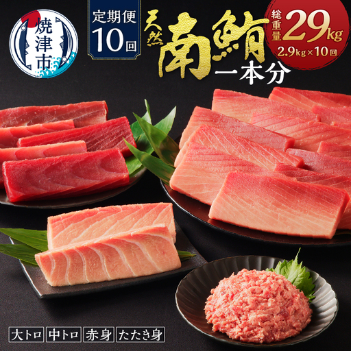 【定期便10回】南鮪 1本 総重量約29kg（各月約2.9kg） (m10-001)