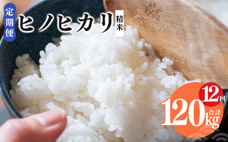 【 定期便 12回 】奈良県産 ヒノヒカリ 精米 10kg （ 計120kg ）  | コメ 米 こめ 精米 ひのひかり　もちもち　奈良県 五條市