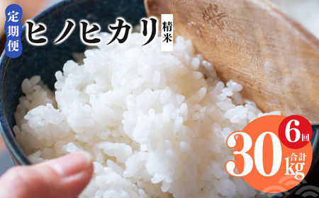 【 定期便 6回 】奈良県産 ヒノヒカリ 精米 5kg （ 計30kg ）| コメ 米 こめ 精米 ひのひかり　もちもち　奈良県 五條市 
