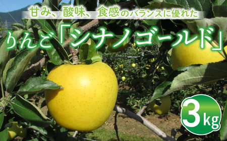 りんご「シナノゴールド」3kg 長野県オリジナル品種｜JA信州うえだ東部地区営農課 東御市産 ※10月下旬～11月下旬頃お届け予定