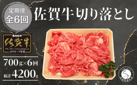 【6回定期便 総計4200g】【佐賀牛】切り落とし肉700g bk014 