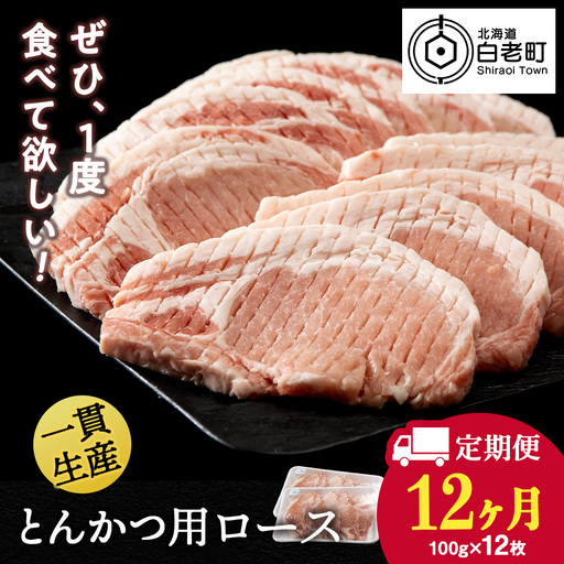 【定期便 12カ月】北海道産 白老豚 ロース とんかつ用 100g×12枚 BV048