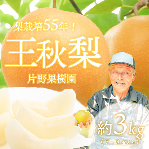 王秋梨 約3kg 10月上旬発送  梨 先行受付