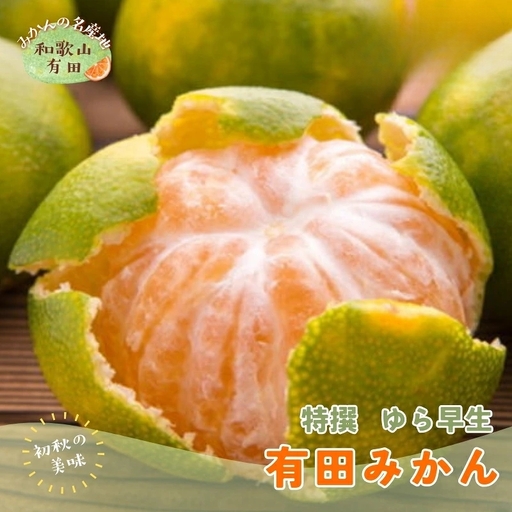特選　ゆら早生有田みかん　約3kg+200g(痛み補償分)【2026年10月中旬～11月上旬頃に順次発送予定】【AA-ard050C】