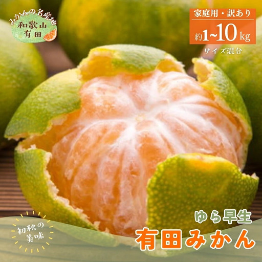 【訳あり・ご家庭用】ゆら早生有田みかん　約1kg+200g(痛み補償分)【2026年10月中旬～11月上旬頃に順次発送予定】【AA-ard052C】