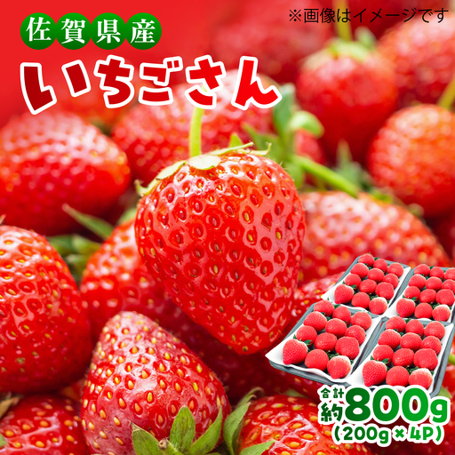 12月から4月発送 いちごさん 約800g いちご 苺[FDF001]
