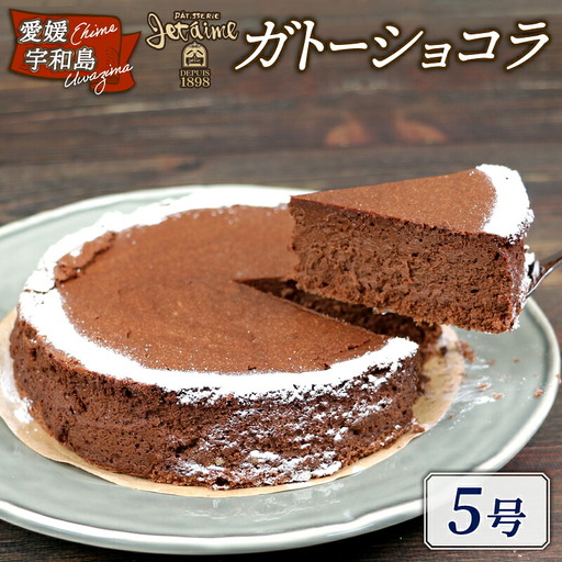 ガトーショコラ 5号 寿提夢 ショコラ