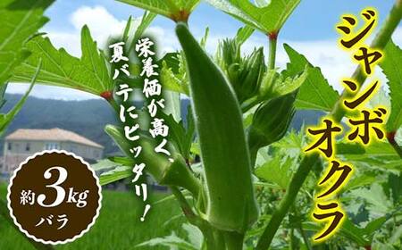 【先行予約2027年7月～2027年9月頃お届け】オクラ (約3kg) 夏野菜 オクラ 名産品 ご当地 野菜 グルメ 食品 おひたし 天ぷら 炒め物 四国 F5J-921