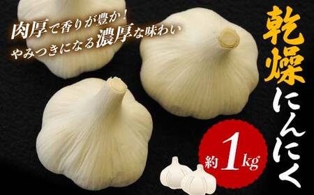 [先行予約2026年6月〜2026年8月頃お届け]乾燥にんにく (約1kg) にんにく ニンニク ガーリック 乾燥 食品 名産 四国 F5J-918
