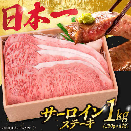 A5長崎和牛 特選サーロインステーキ 250g×4  [DBJ004] 牛肉 焼肉 ステーキ 