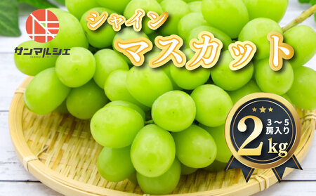 シャインマスカット 約2kg 青秀以上 | ぶどう マスカット