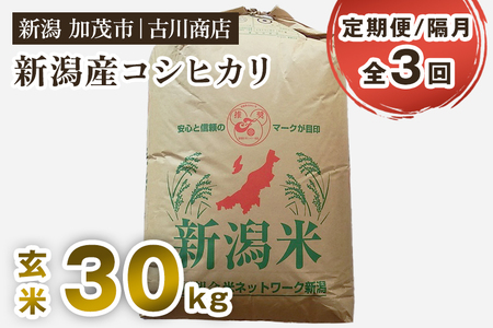 【令和7年産】【定期便3回隔月お届け】新潟県加茂市産コシヒカリ 玄米30kg 《順次発送》 お米の専門店 古川商店