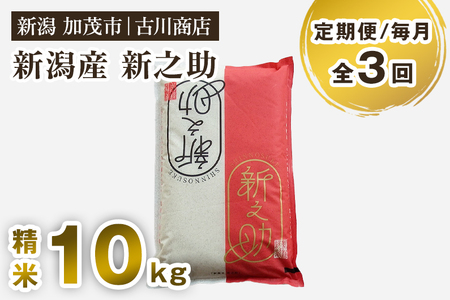 【令和7年産】【定期便3回毎月お届け】新潟の新ブランド米「新之助」精米10kg 白米 大粒 加茂市