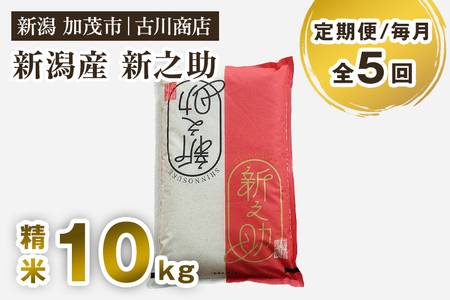 【令和7年産】【定期便5ヶ月毎月お届け】新潟の新ブランド米「新之助」精米10kg 白米 大粒 加茂市