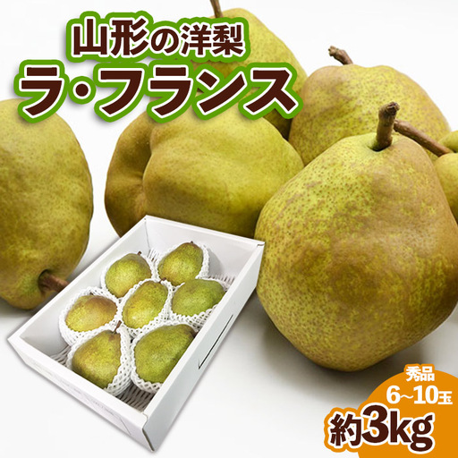 山形の洋梨ラフランス 秀品 約3kg (6～10玉)【令和8年産先行予約】FS25-736