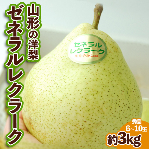 山形の洋梨ゼネラルレクラーク 秀品 約3kg (6〜10玉)[令和8年産先行予約]FU23-651 くだもの 果物 フルーツ 山形 山形県 山形市 2026年産