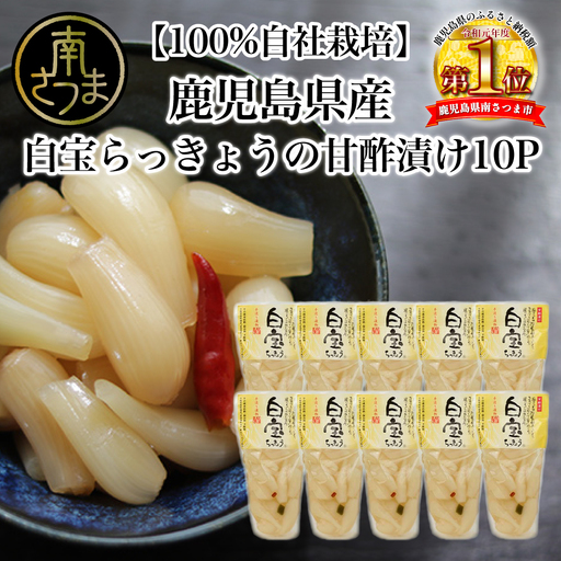 鹿児島県産 白宝らっきょう(90g×10P) ラッキョウ 甘酢らっきょう 惣菜 常温保存 ご飯のおとも 野菜 常温 漬物 国産
