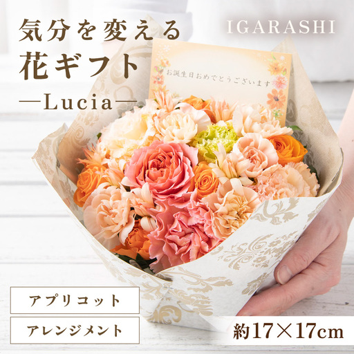 気分を変える花ギフト -Lucia- (アレンジメント・アプリコット)/ 誕生日 母の日 父の日 クリスマス 結婚祝い 結婚記念日 サプライズ お祝い アレンジメント 花束 プレゼント 贈り物 フラワーアレンジメント フラワーギフト 生花 お花 花屋 [aw062-a002_05]