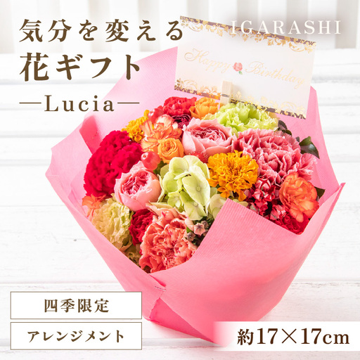 気分を変える花ギフト -Lucia- (アレンジメント・四季限定アイテム)/ 誕生日 母の日 父の日 クリスマス 結婚祝い 結婚記念日 サプライズ お祝い アレンジメント 花束 プレゼント 贈り物 フラワーアレンジメント フラワーギフト 生花 お花 花屋 [aw062-a002_09]